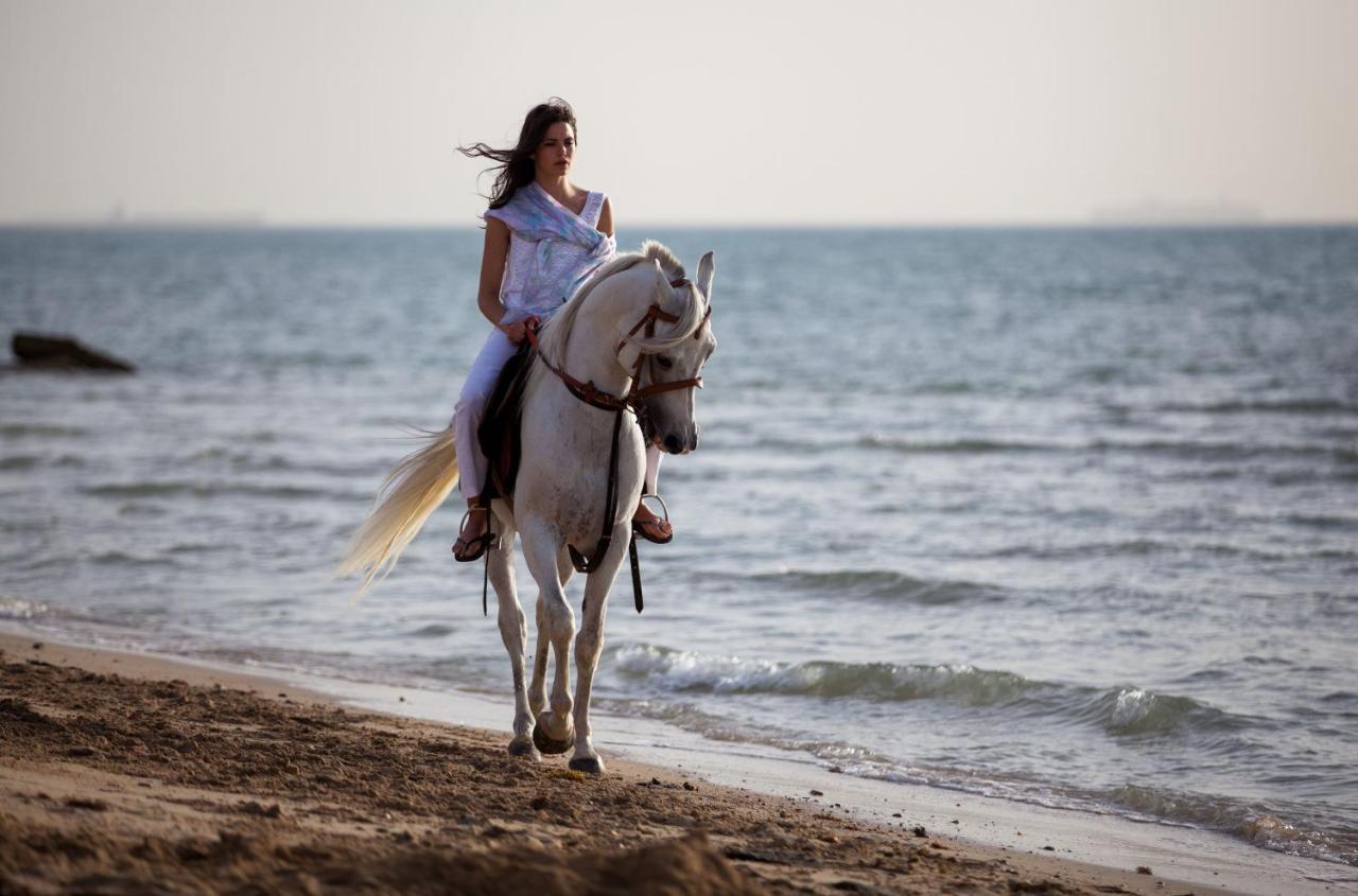 ראס סדר Mousa Coast Hotel & Spa מראה חיצוני תמונה